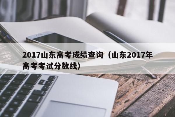 2017山东高考成绩查询（山东2017年高考考试分数线）