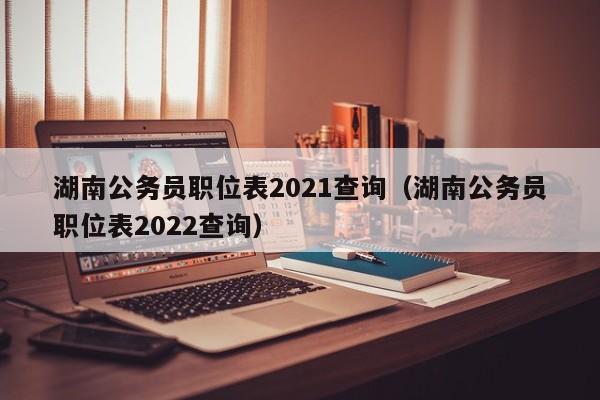 湖南公务员职位表2021查询（湖南公务员职位表2022查询）